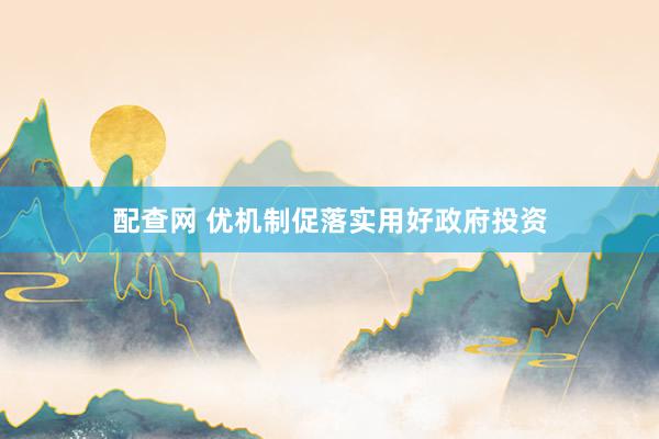配查网 优机制促落实用好政府投资
