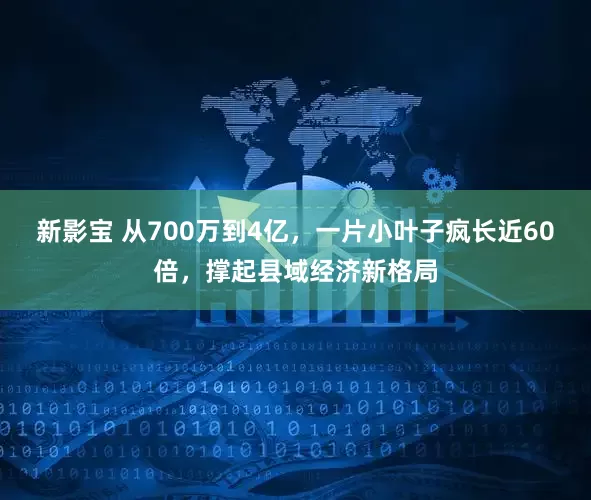 新影宝 从700万到4亿，一片小叶子疯长近60倍，撑起县域经济新格局