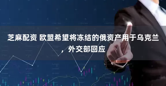 芝麻配资 欧盟希望将冻结的俄资产用于乌克兰，外交部回应
