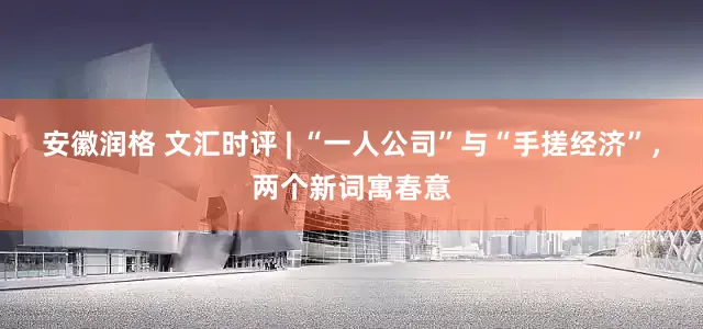 安徽润格 文汇时评 | “一人公司”与“手搓经济”，两个新词寓春意